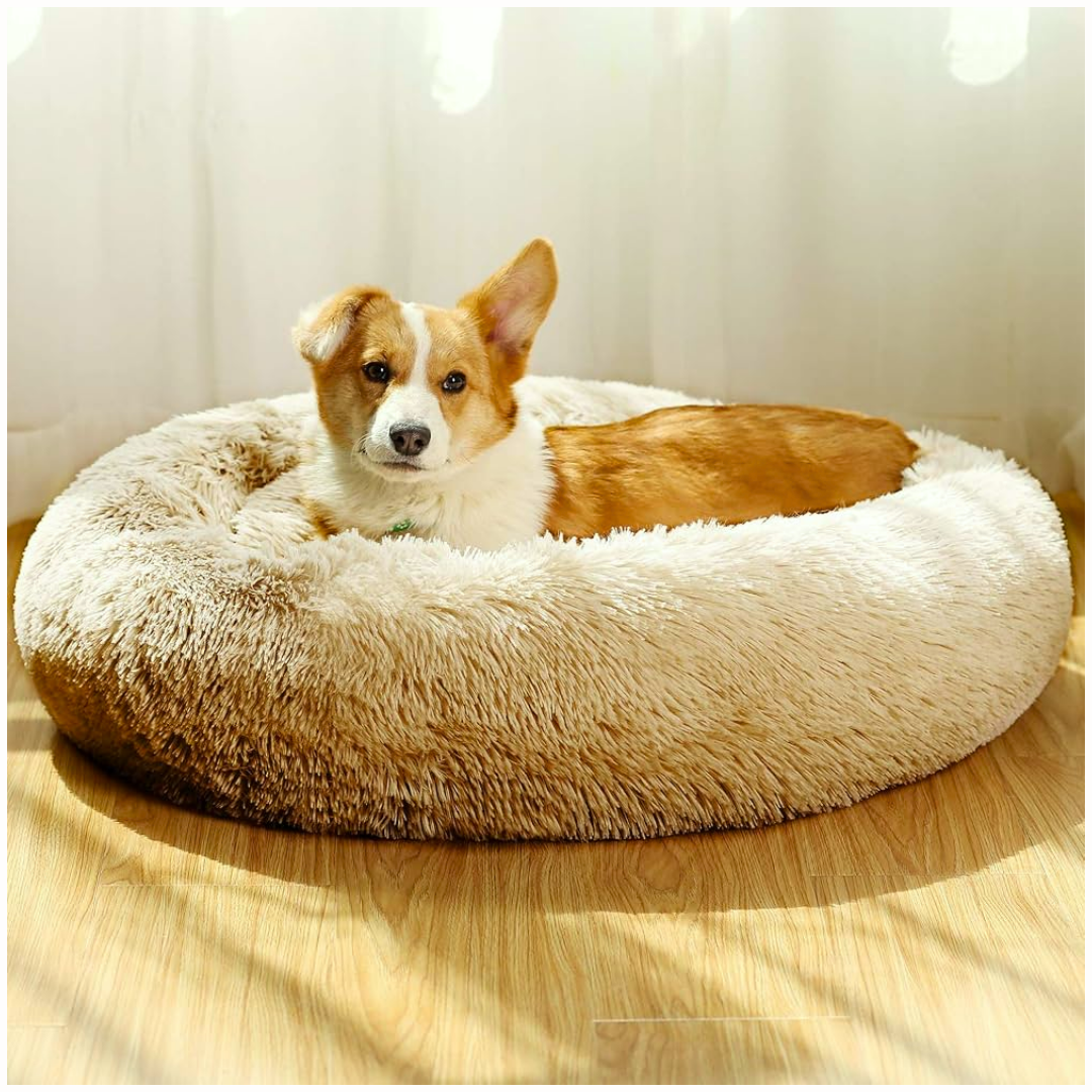 Cama para Mascotas Dona Amarilla 60 x 60 x 22 cm