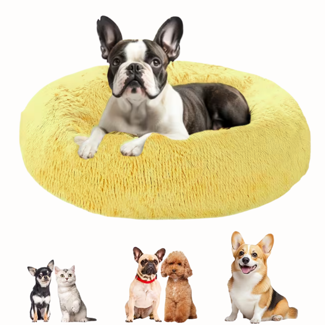 Cama para Mascotas Dona Amarilla 60 x 60 x 22 cm