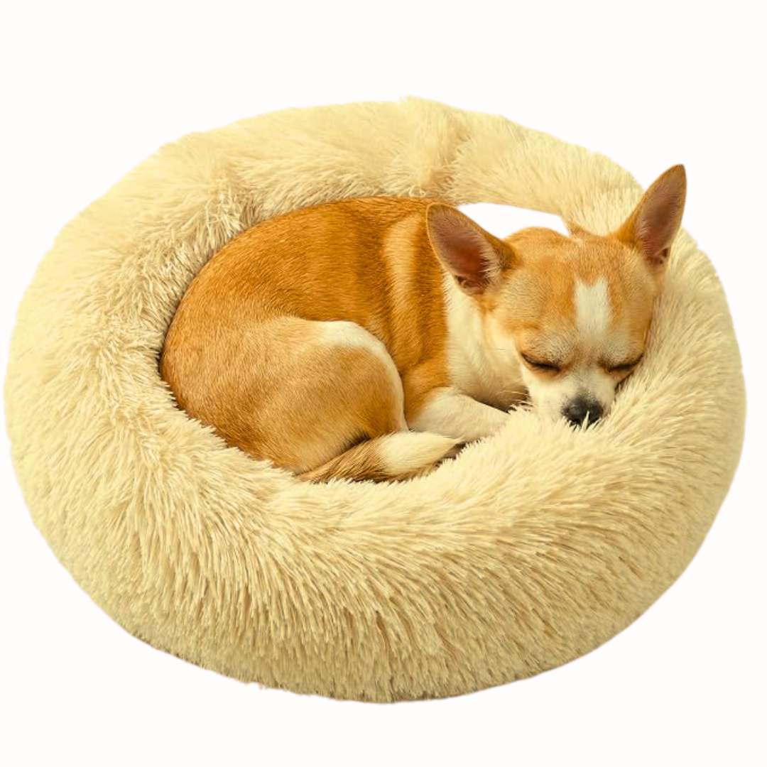 Cama para Mascotas Dona Amarilla 60 x 60 x 22 cm