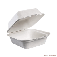 Pack x50 Contenedores Biodegradables para Hamburguesas y Postres