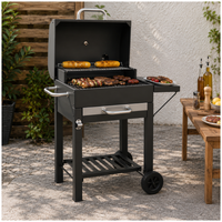 PARRILLA A CARBÓN CON MESA LATERAL DE ACERO
