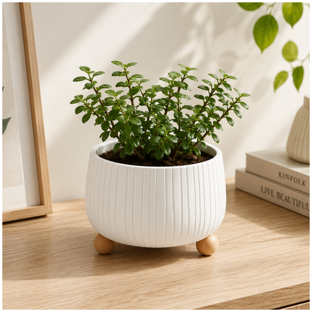 Florero Macetero Decorativo Minimalista