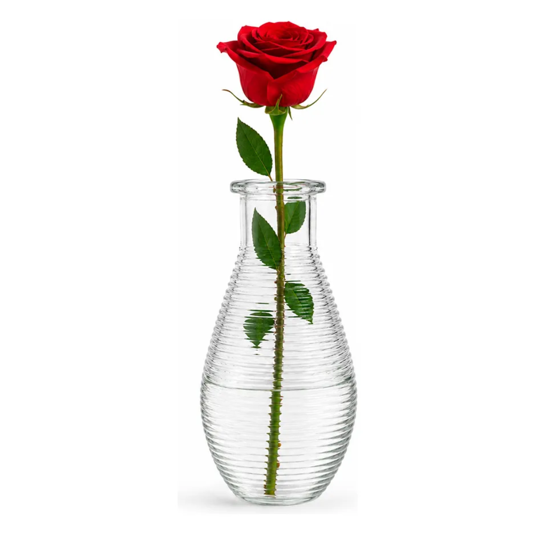 Florero de Vidrio Transparente 14 cm
