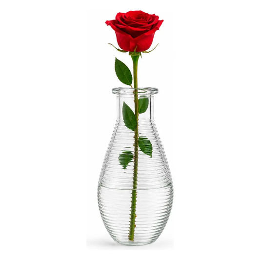 Florero de Vidrio Transparente 14 cm