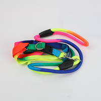 Set de Correa y Pechera para Mascota Multicolor