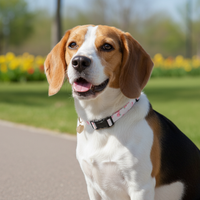 Collar Ajustable para Perro Rosado