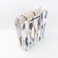 Bolsa De Regalo Plumas