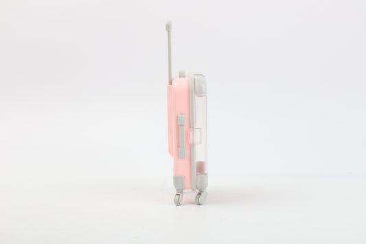 Mini Maletita M