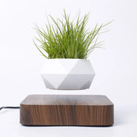 Maceta Flotante Magnética